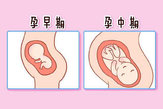 遼寧揭秘供卵助孕的內幕6杯水