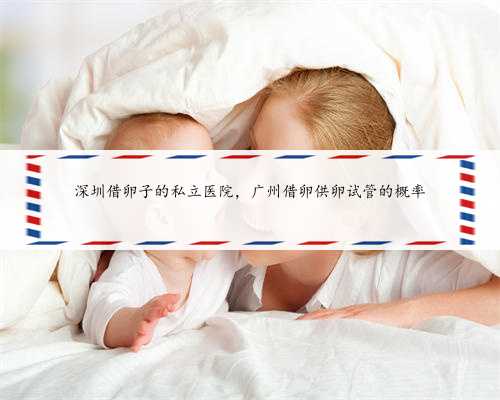 深圳借卵子的私立医院，广州借卵供卵试管的概率
