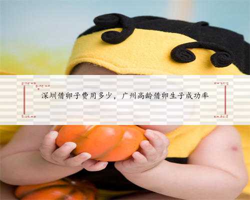 深圳借卵子费用多少，广州高龄借卵生子成功率