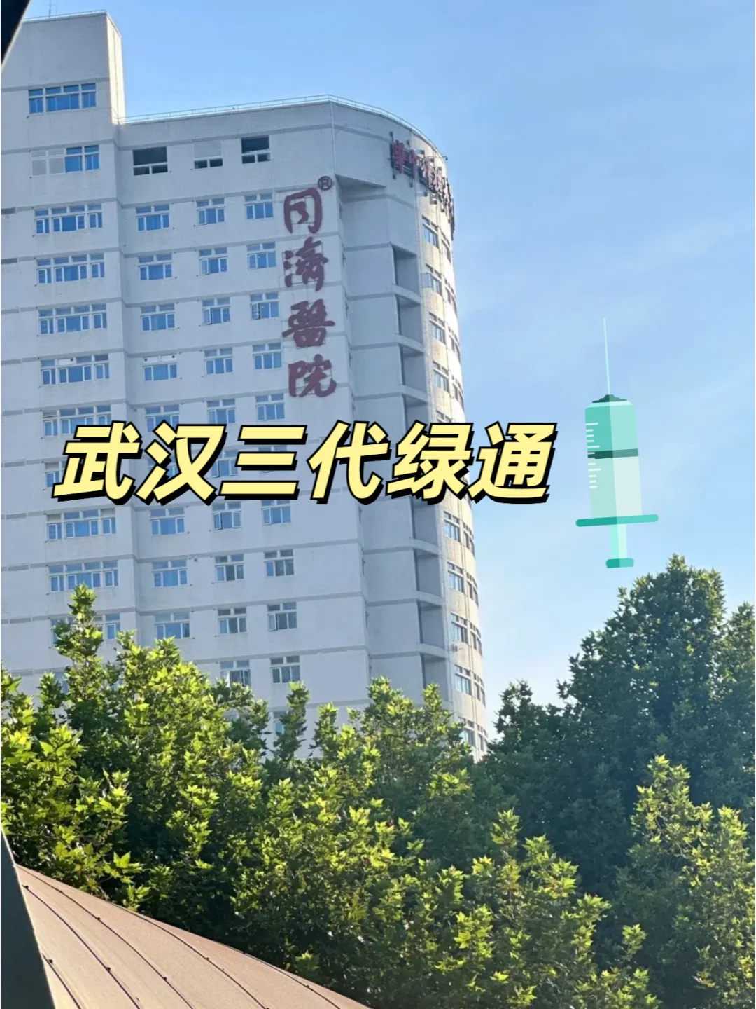 深圳去做试管供卵代生,深圳试管婴儿 深圳试管一代需要多少钱