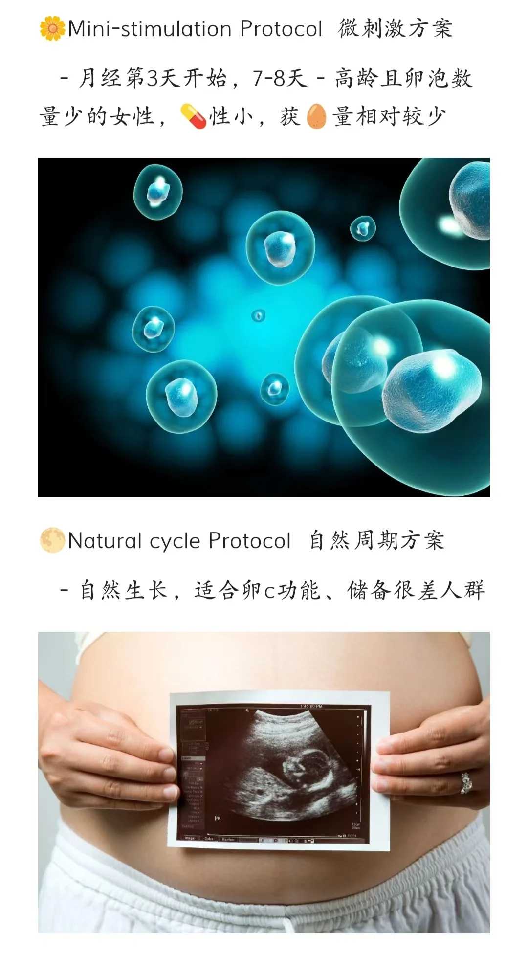 深圳省人民可以做供卵试管婴儿吗，2024年已更新|深圳省人民天心阁区电话