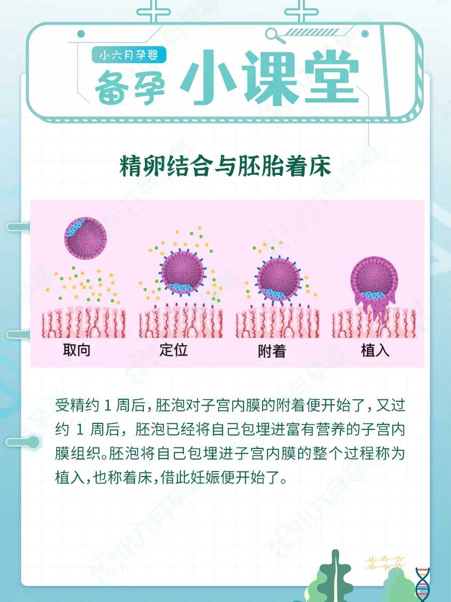 深圳供卵代生怎么找,深圳二代试管婴儿多少钱