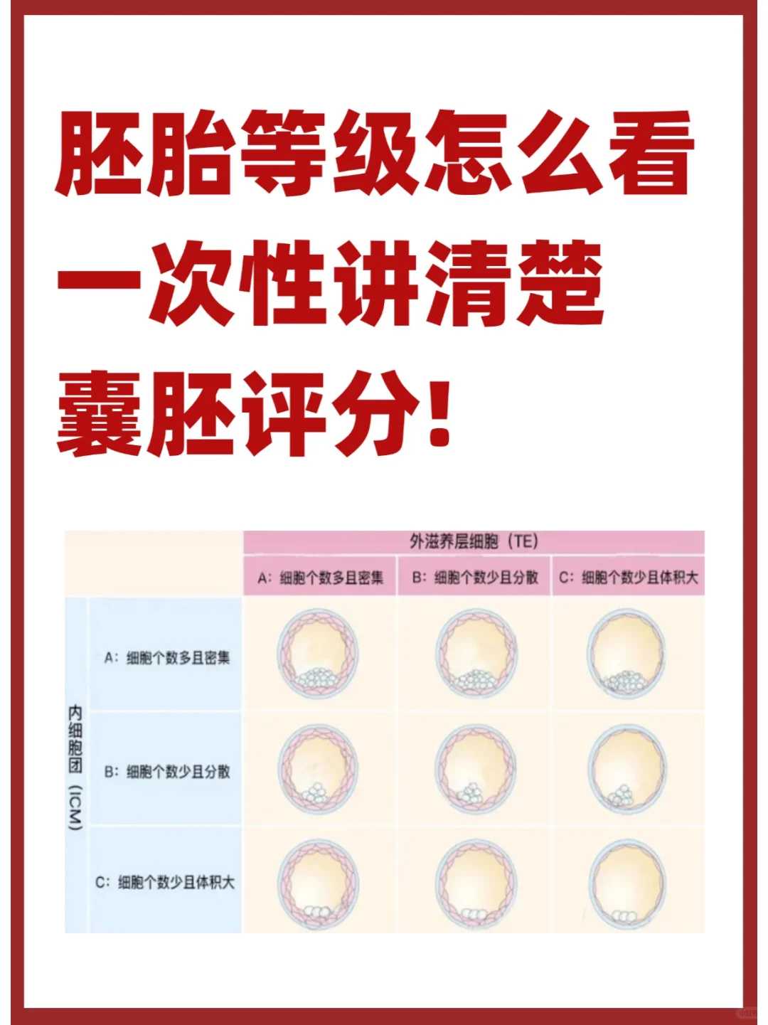 去做泰国三代试管婴儿*宝宝费用如何能更省钱(了解价格情况)