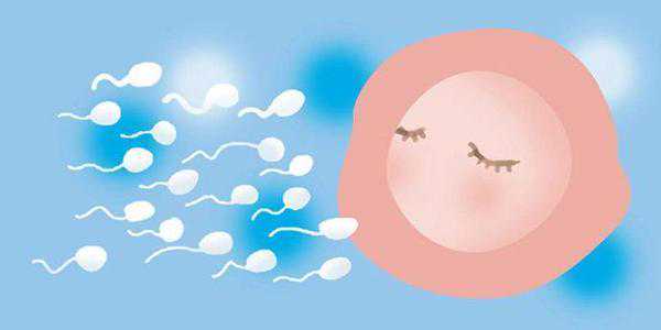 在深圳做供(借)卵试管婴儿的流程是怎样的？具体有哪几个步骤？