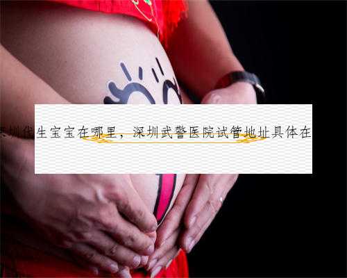 深圳代生宝宝在哪里，深圳武警医院试管地址具体在哪里？