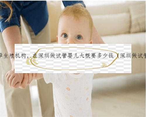 深圳助孕生殖机构，在深圳做试管婴儿大概要多少钱（深圳做试管费用）