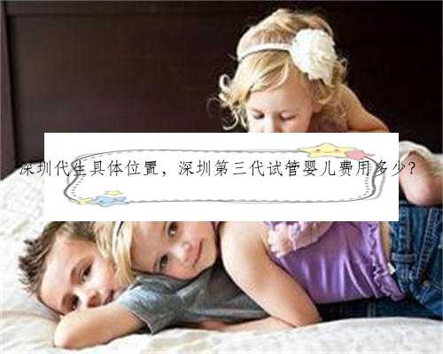 深圳代生具体位置，深圳第三代试管婴儿费用多少？