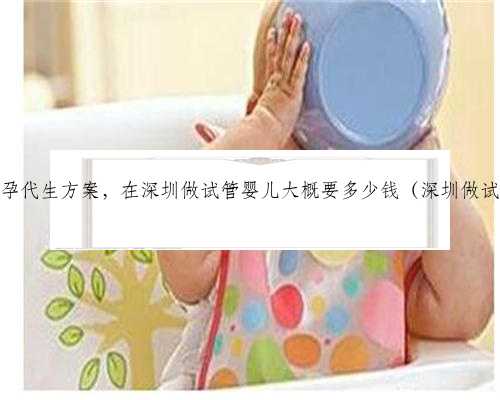 深圳代怀孕代生方案，在深圳做试管婴儿大概要多少钱（深圳做试管费用）