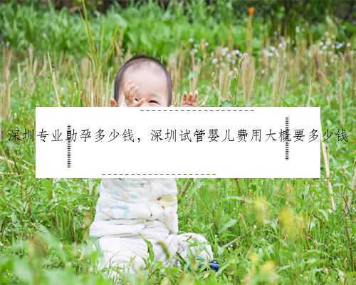 深圳专业助孕多少钱，深圳试管婴儿费用大概要多少钱