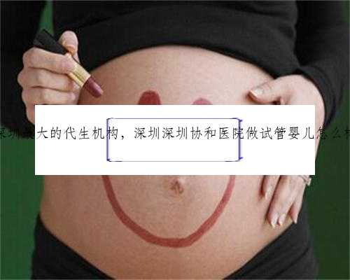 深圳最大的代生机构，深圳深圳协和医院做试管婴儿怎么样