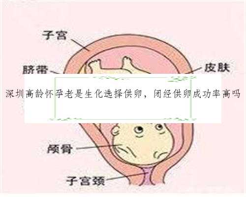 深圳高龄怀孕老是生化选择供卵，闭经供卵成功率高吗